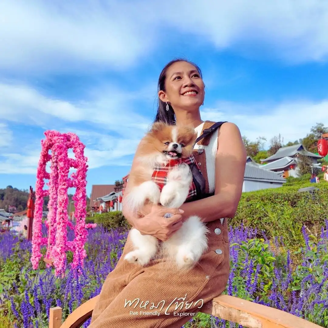 ไร่ชา เฉินฟง - garden view