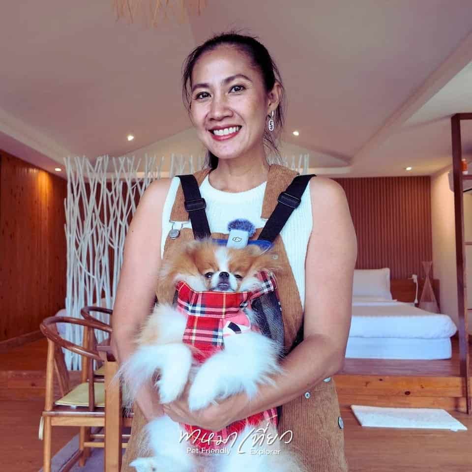 ห้องพัก เห็ดเหลือง