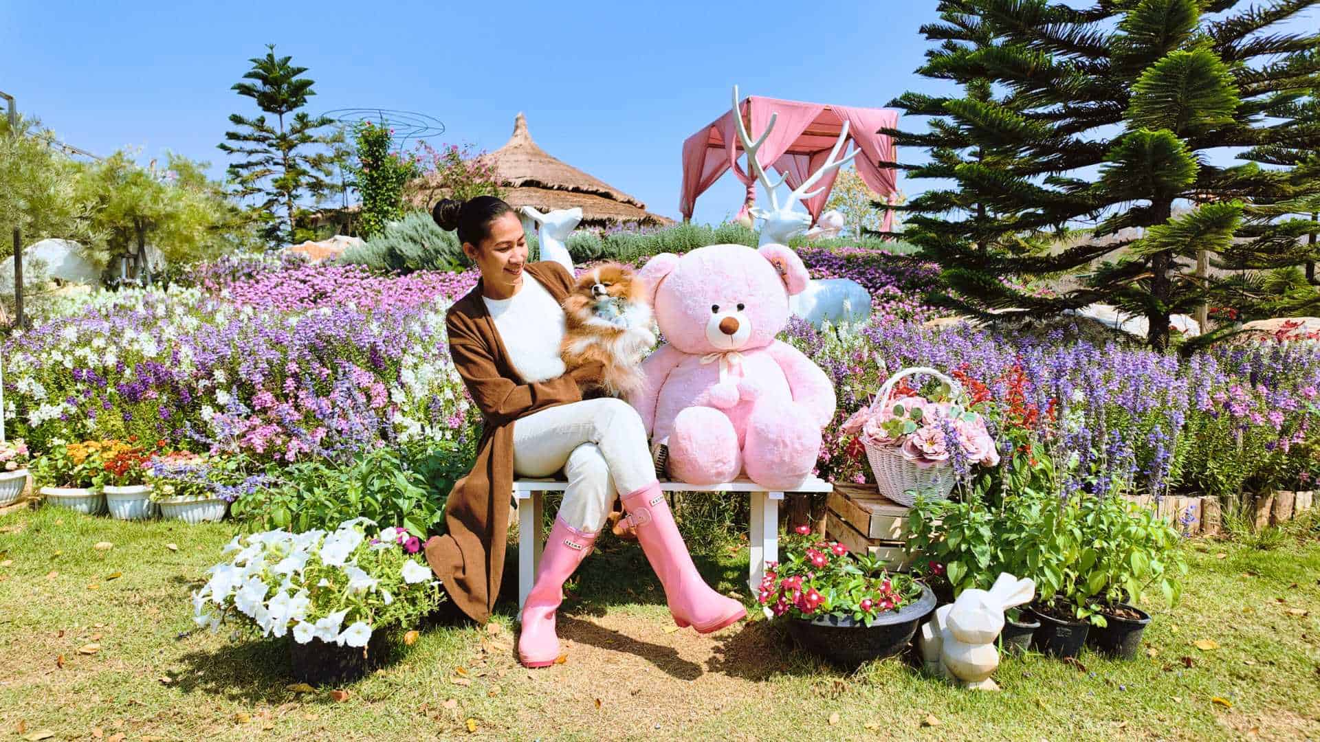 หญิงสาวกับหมาปอมขนฟูนั่งในคาเฟ่สวนดอกไม้